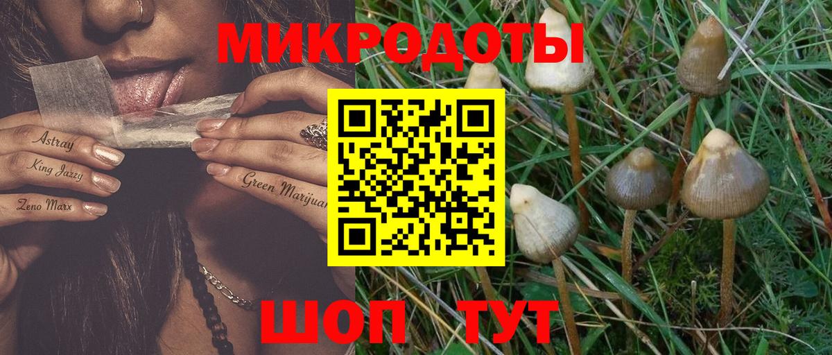 Протвино  Псилоцибиновые грибы MAGIC MUSHROOMS  Вход с VPN 
